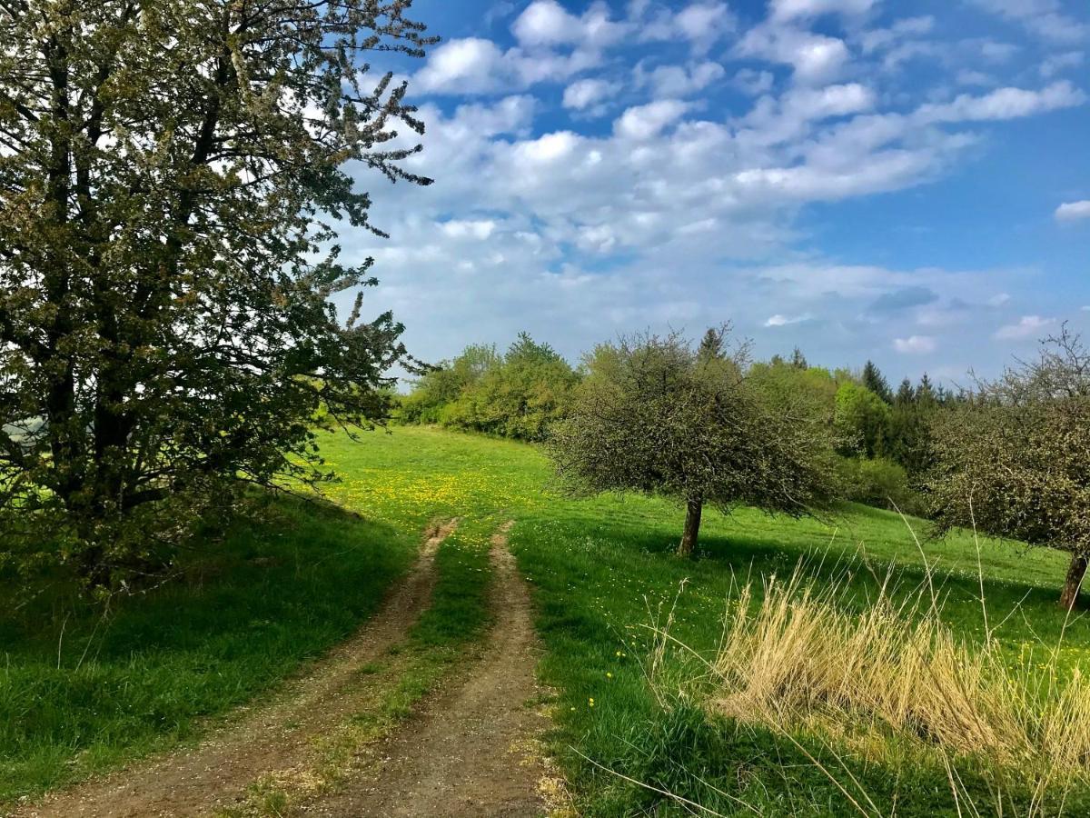 Komfort Appartement - Am Reitersberg Marpingen Luaran gambar